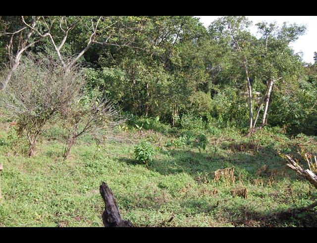 1,762M² VACANT LAND FOR SALE IN KLOOF